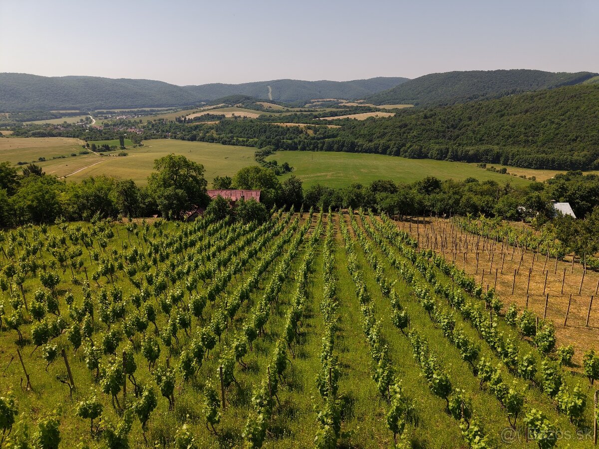 Rozsiahly pozemok s chatou v obci Hrušov - 3