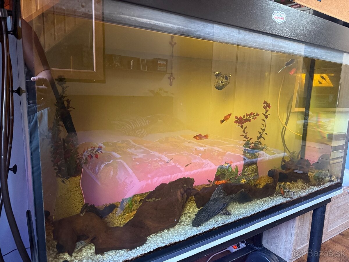 Akvárium - 3