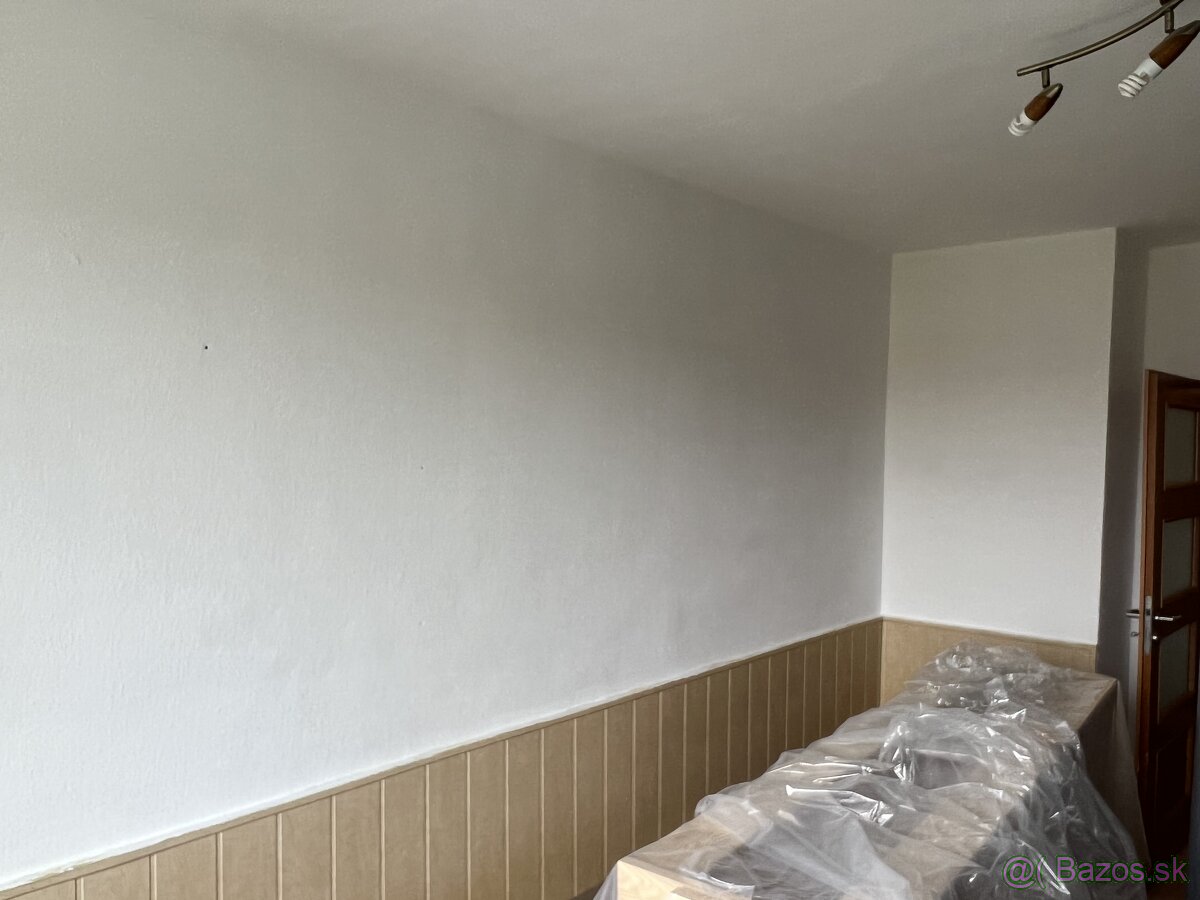 Maliarské práce - 3