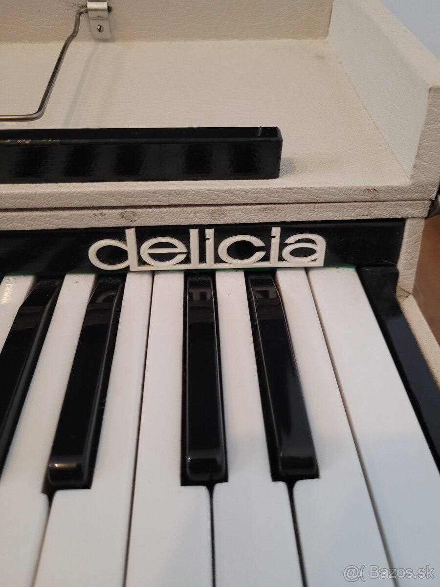 Delicia harmonika - 3