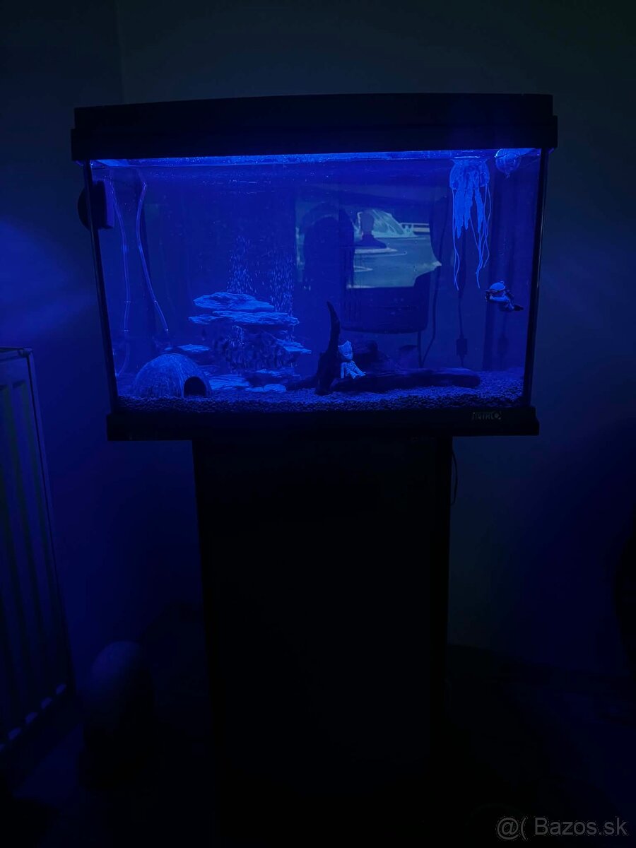 Akvárium 60l - 3