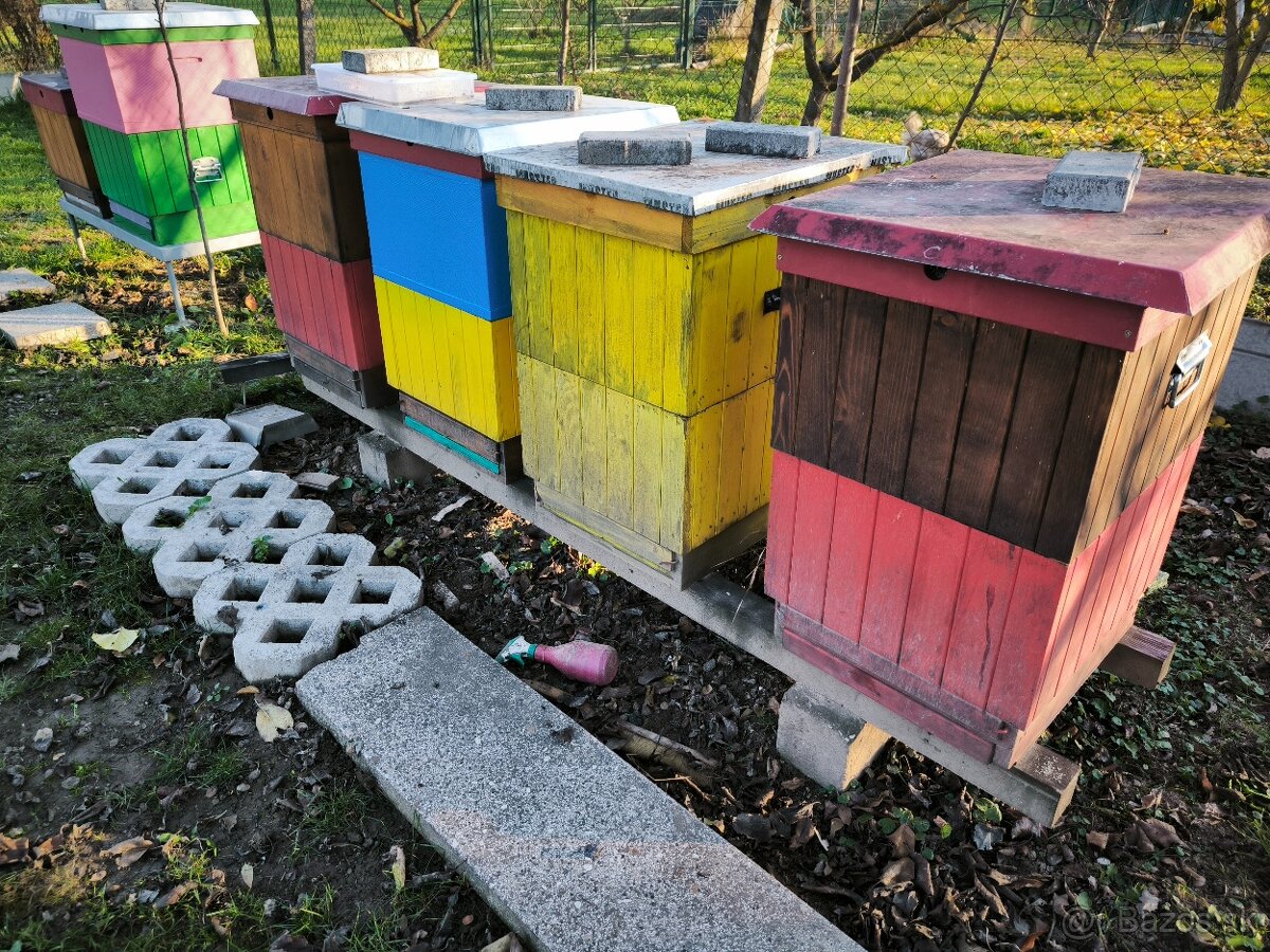 Včelstvo, včely, kompletné príslušenstvo včelára - 3