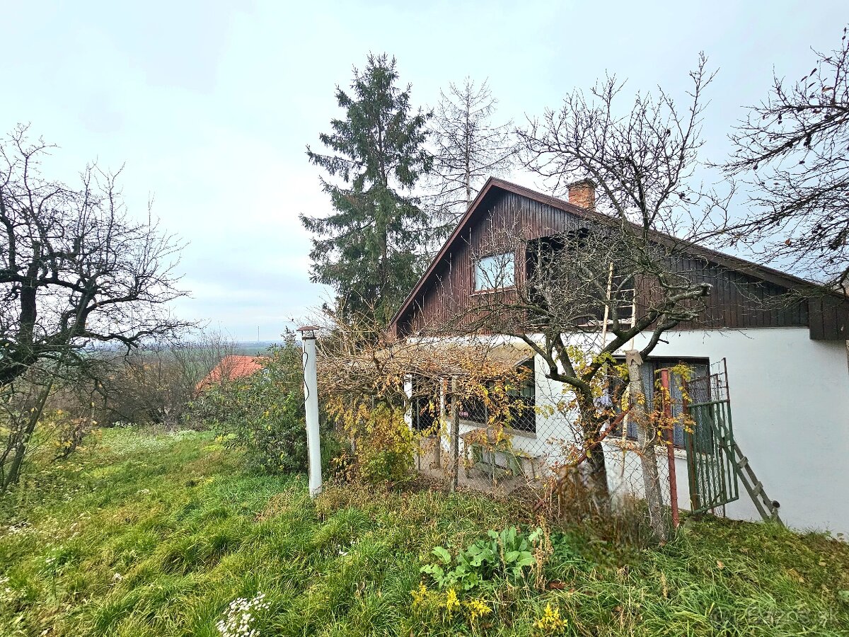 Viničný dom s vinicou Staré Predné Levice - 3