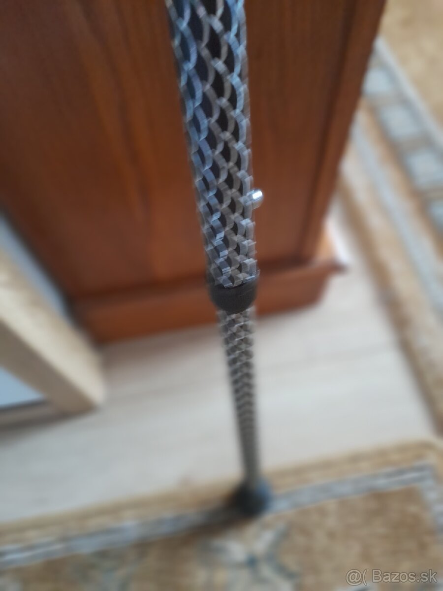 Vychadzkova palica - 3