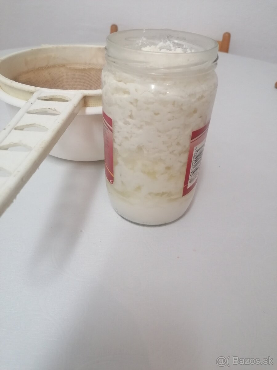 Tibetská huba-kefirové zrna - 3