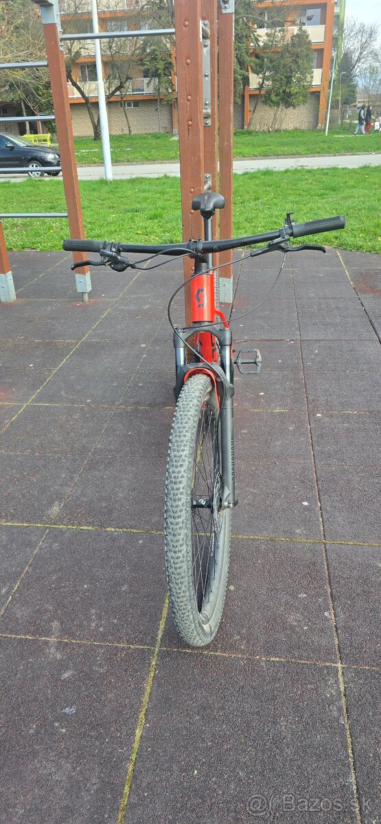 Scott Scale - 3