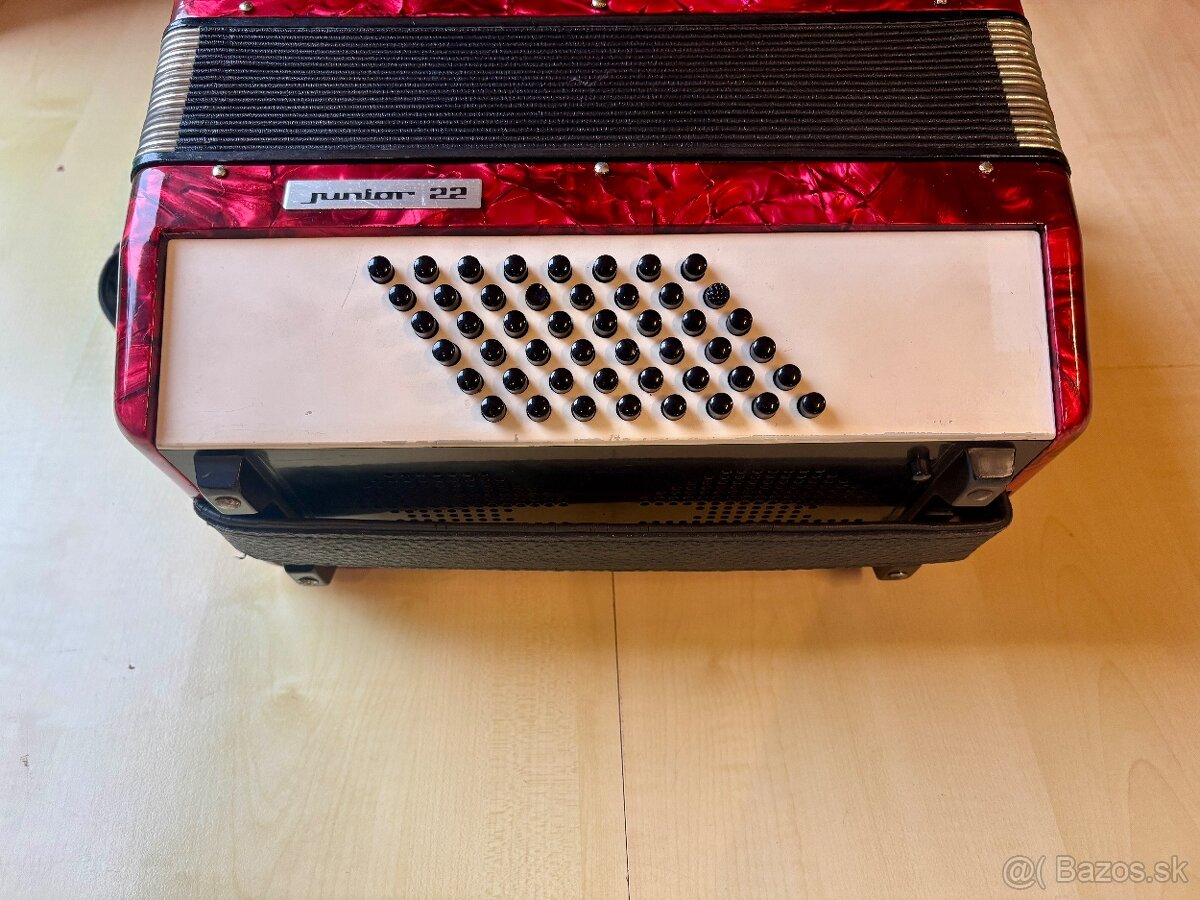 Delicia Junior 22 - 3