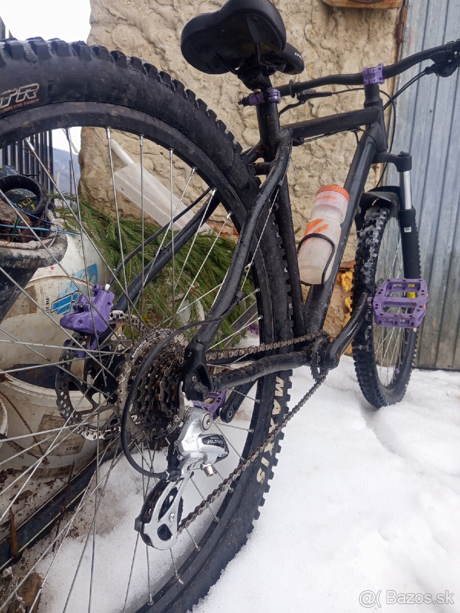 Vedora Camouflage 2019 - 3