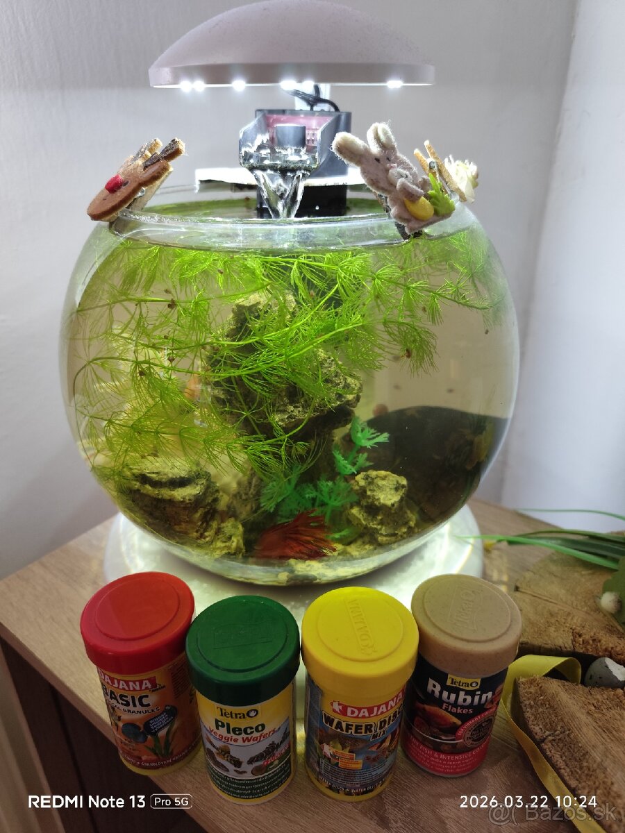Sklenena Gula pre rybky...krevety. - 3
