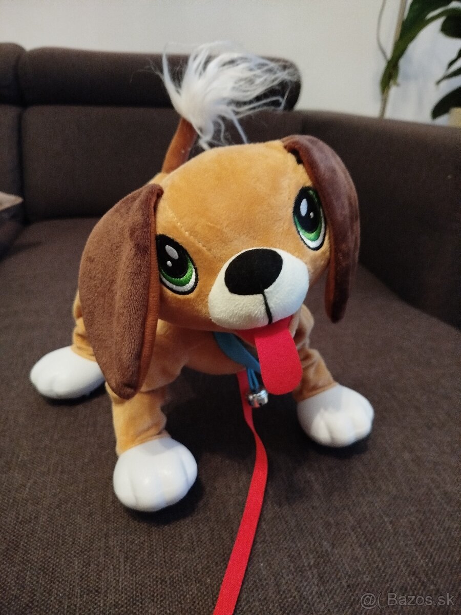 Psík Floppy - 3