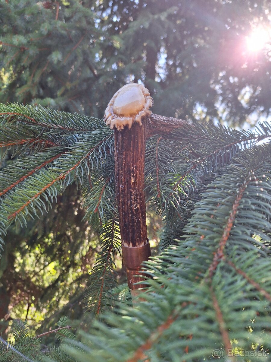 Vychádzková palica z parohu - 3