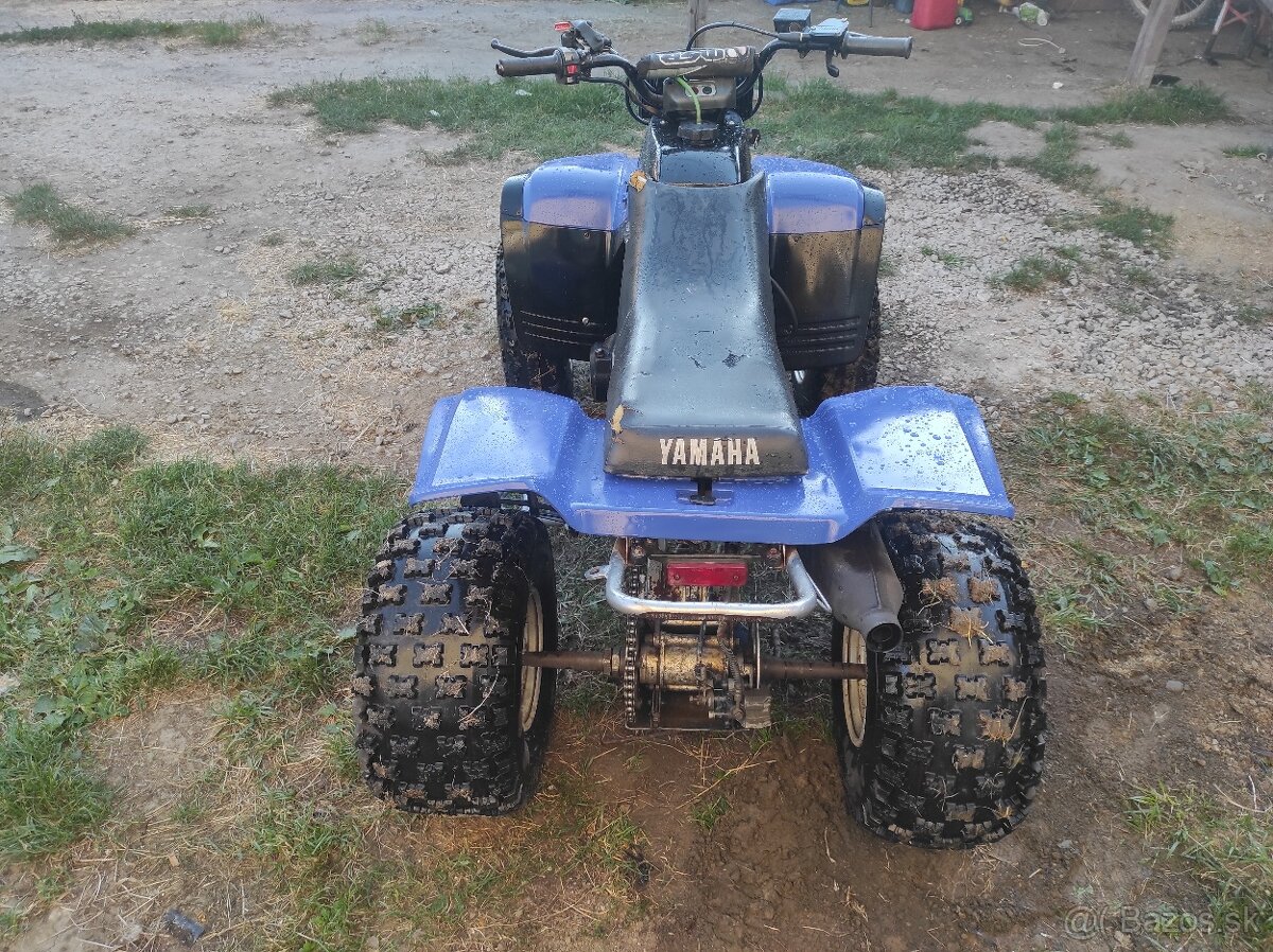 Yamaha warrior 350