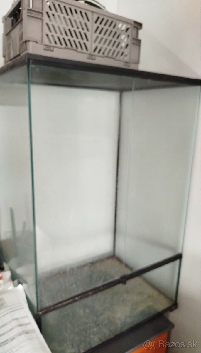 Terarium plus osvetlenie - 3