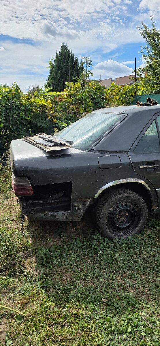 Mercedes w124 - 3
