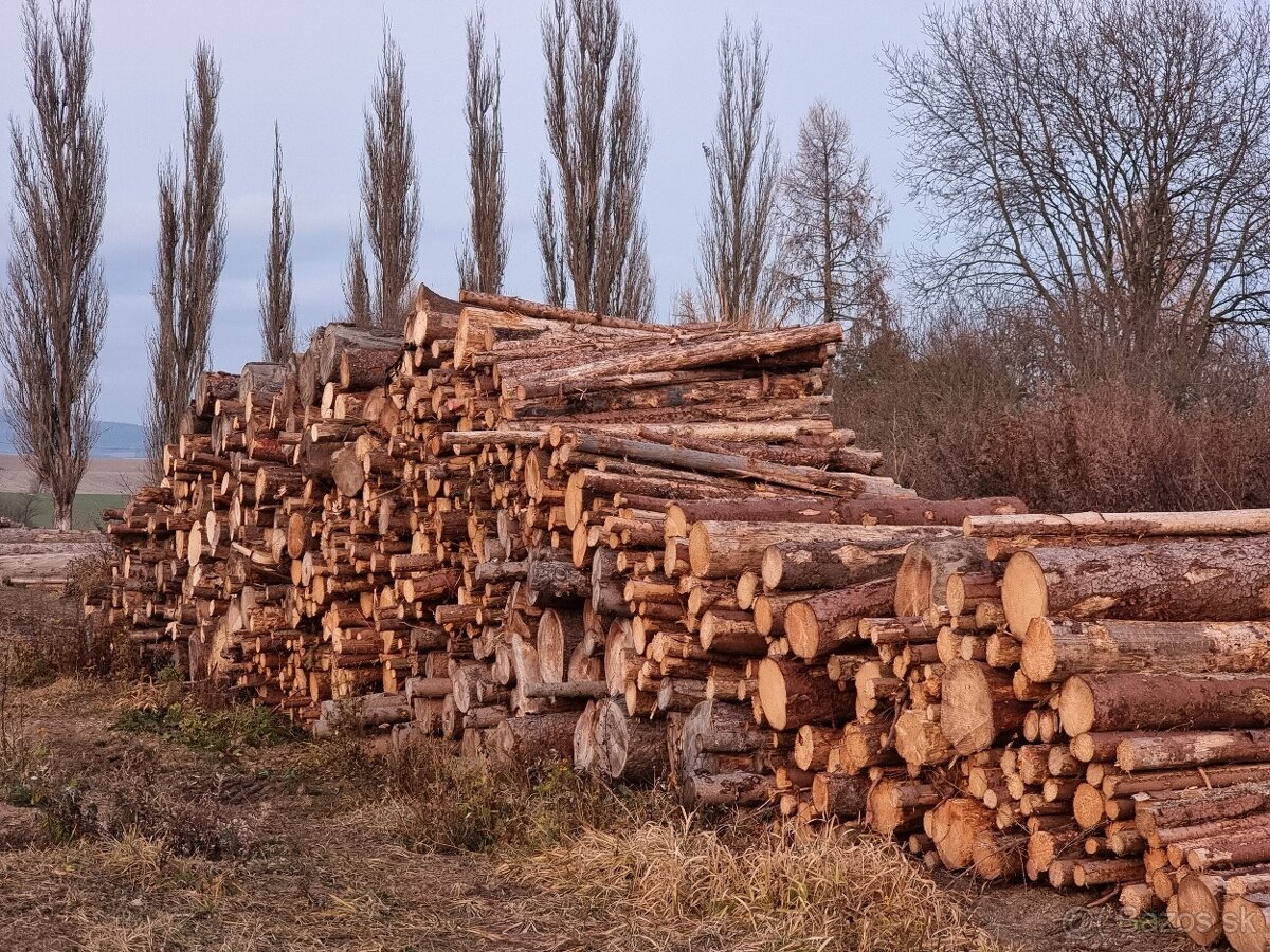 Palivové drevo, odrezky - 3