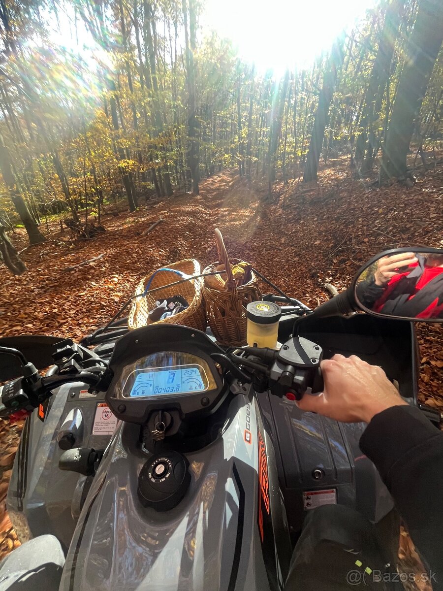 Goes 450i Iron Max 4x4 EPS iba 700km - 3