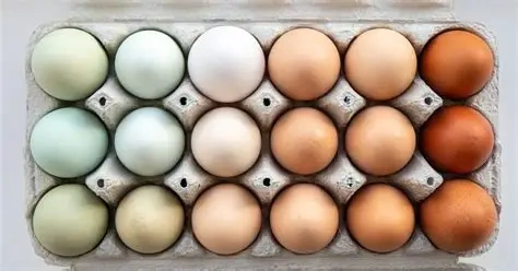 Nasadové vajíčka - 3