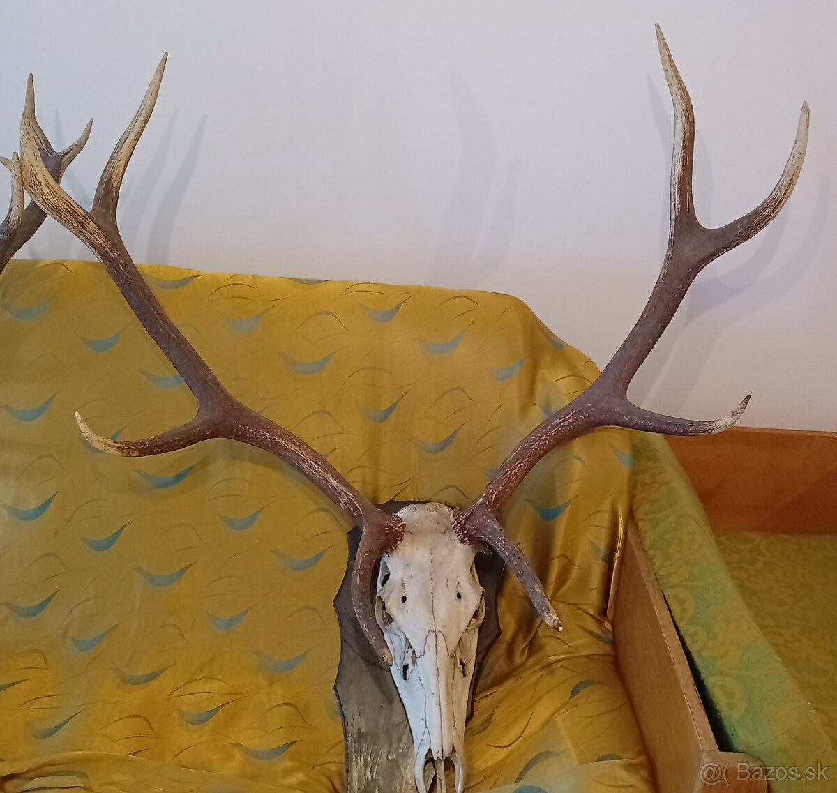 Jelenie trofeje - 3 ks - 3