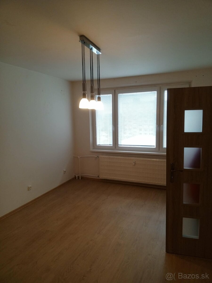 Prenajmem 1 izbový byt - 3