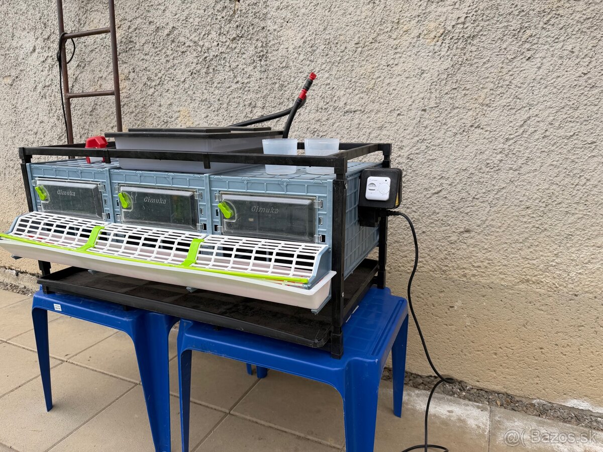 Liaheň s odchovňou - 3