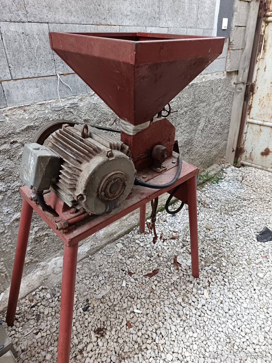 Kladivkovy srotovnik - 3