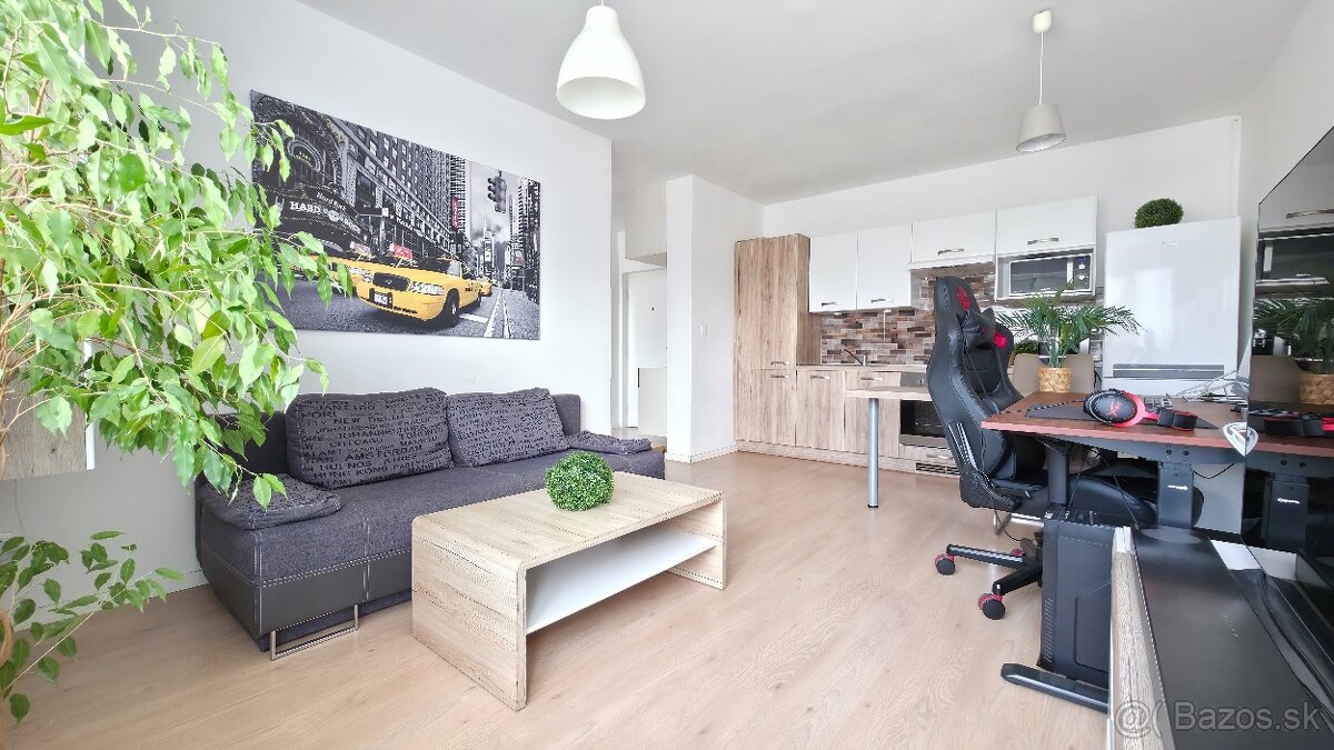 2 IZB BYT S PARKOVANÍM, PIVNICOU A BALKÓNOM - RUŽINOVSKÁ - 3