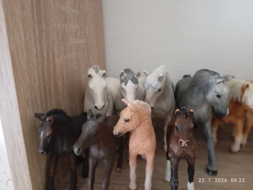 Schleich kone - 3