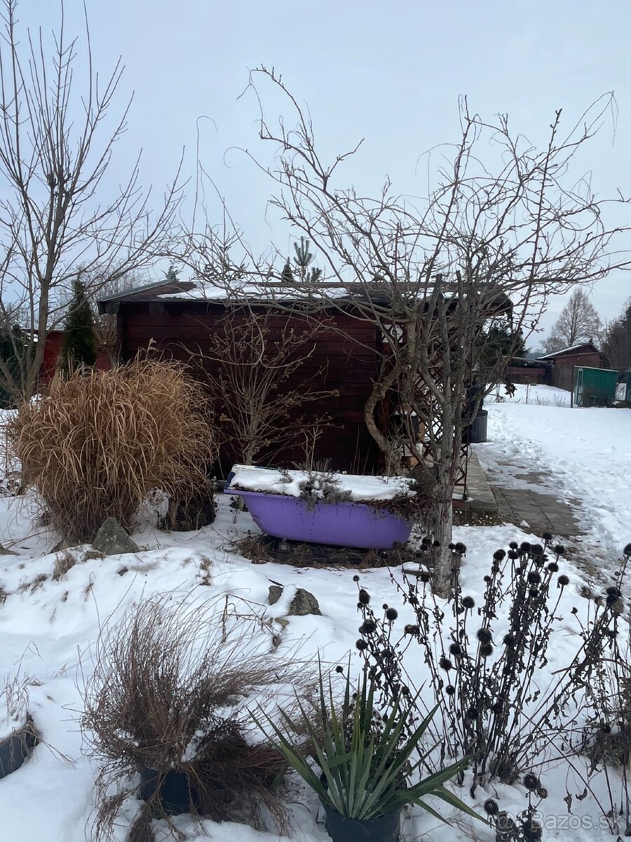 Ponúkame na predaj záhradku - 3