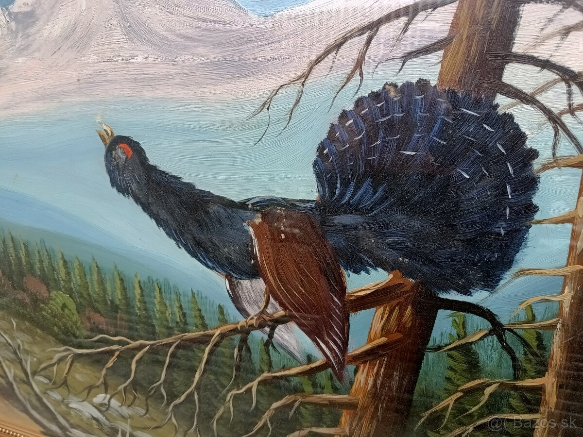 obraz olejomaľba Tetrov Hlucháň - 3