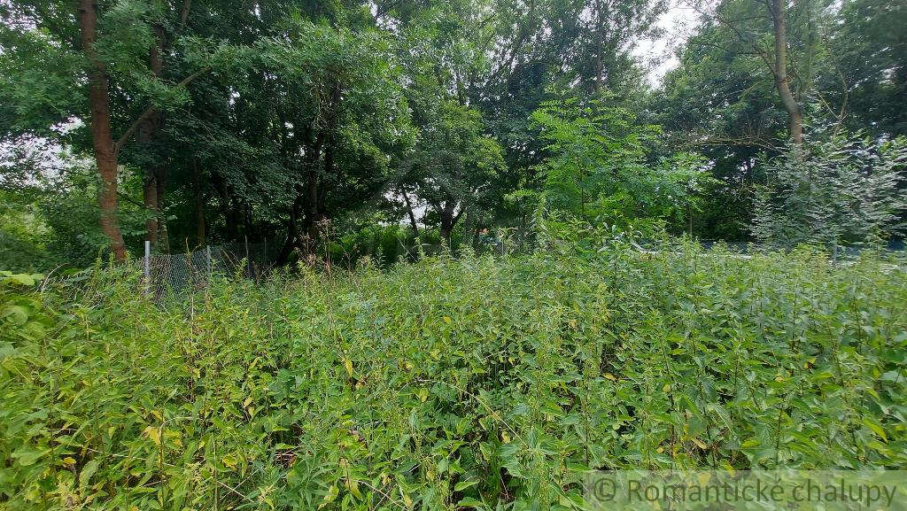 Záhrada pri lesíku na predaj Holíč - 3