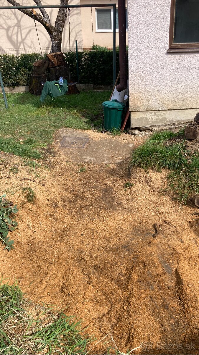 Likvidácia pňov frézovaním - frézovanie pňov - 3