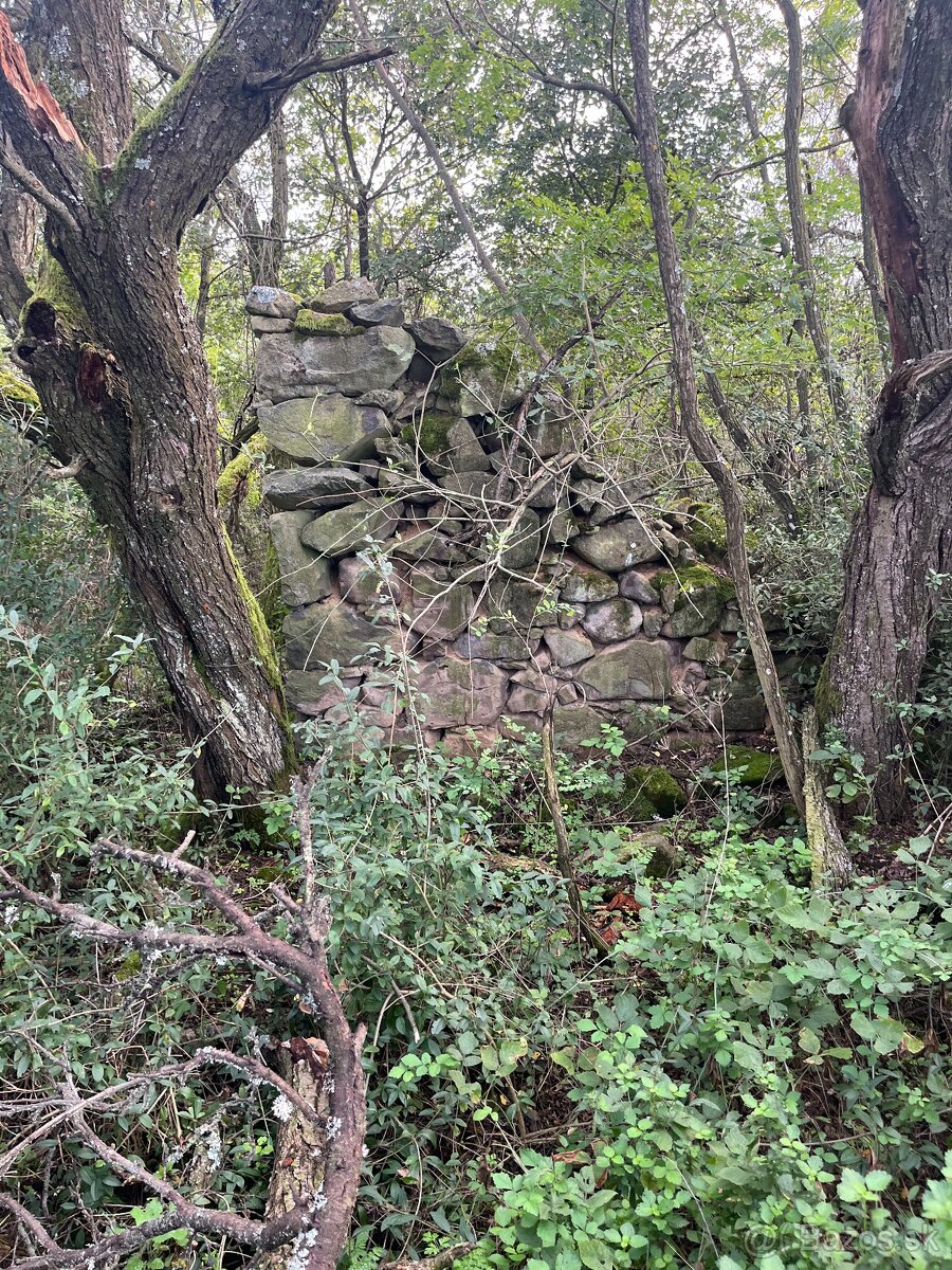 Pozemok s ruinami domu na samote - 3