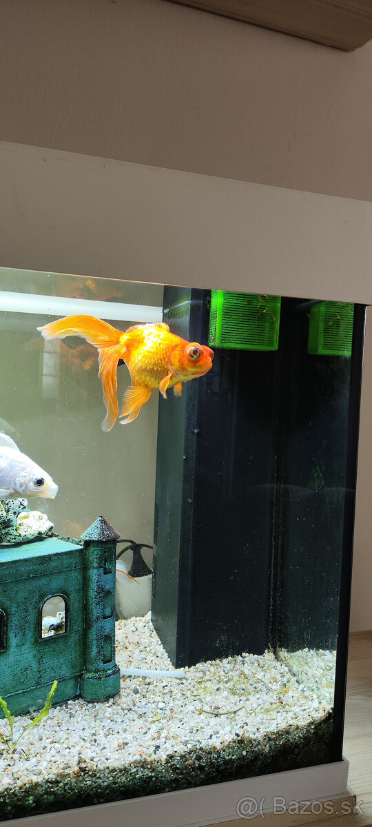 Akvarioum Juwell 125 - 3