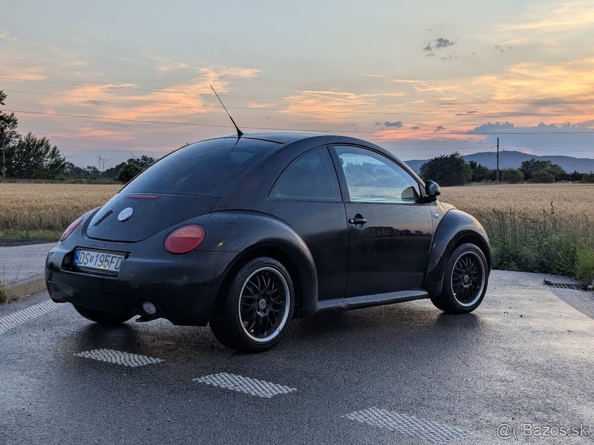 VW New Beetle - 3