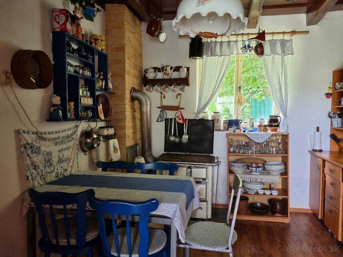 RD - CHALÚPKA a POZEMOK 1207m2 PRI LESÍKU MYJAVSKÉ KOPANICE - 3