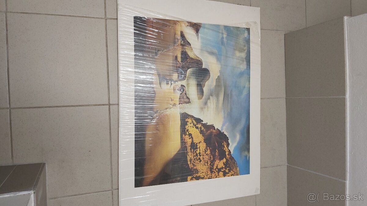 Foto na kartóne Salvator Dalí 80x60cm - 3