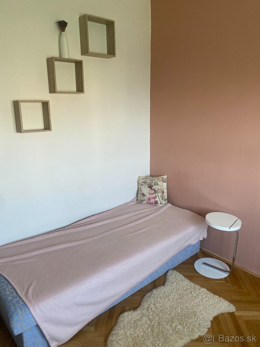Prenajmem jedno miesto v krásnom byte s výhľadom na hrad - 3
