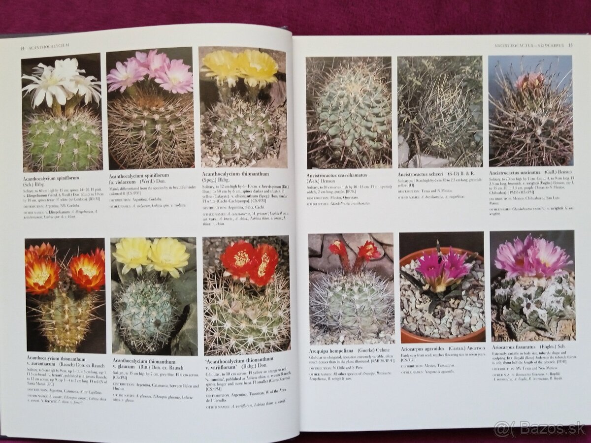 Ilustrovaná encyklopédia kaktusov v angličtine - 3