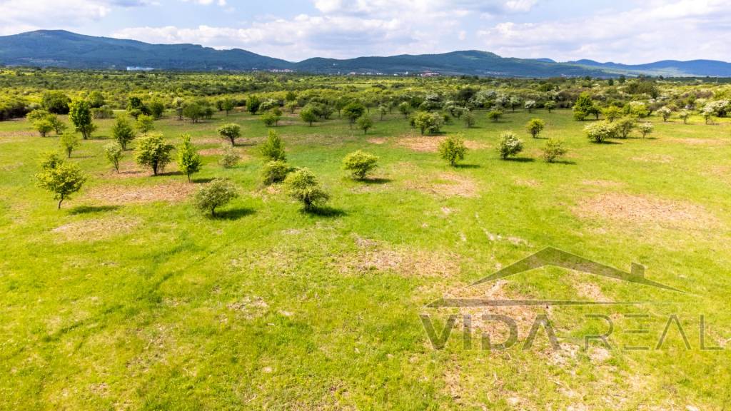 Pozemok v Modre s výmerou až 5.666 m2 - 3