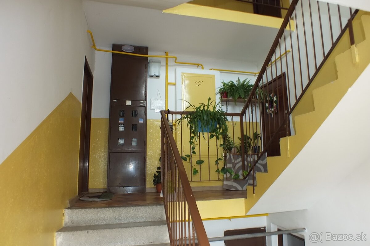 Fotografia 3