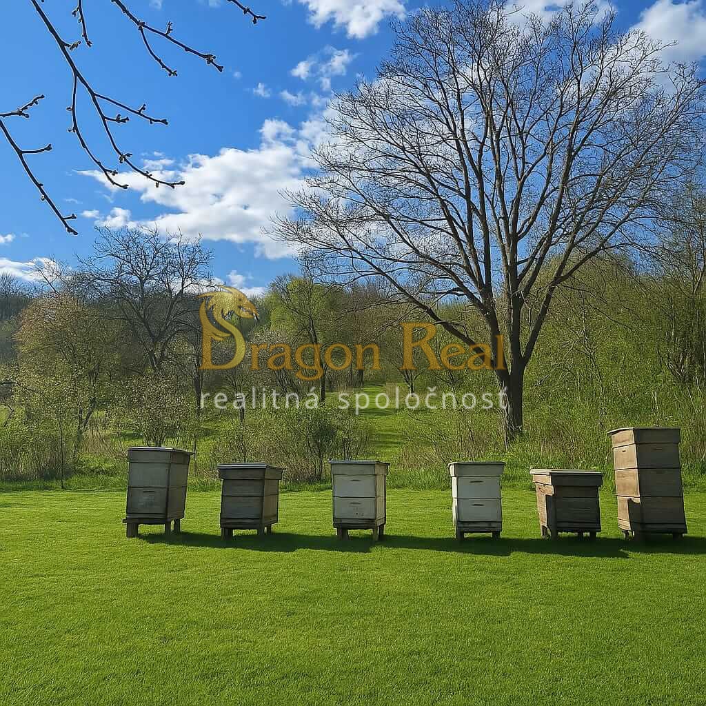 PREDAJ – 2 rekreačné pozemky s vinicou a chatkou - KALUŽA - 3