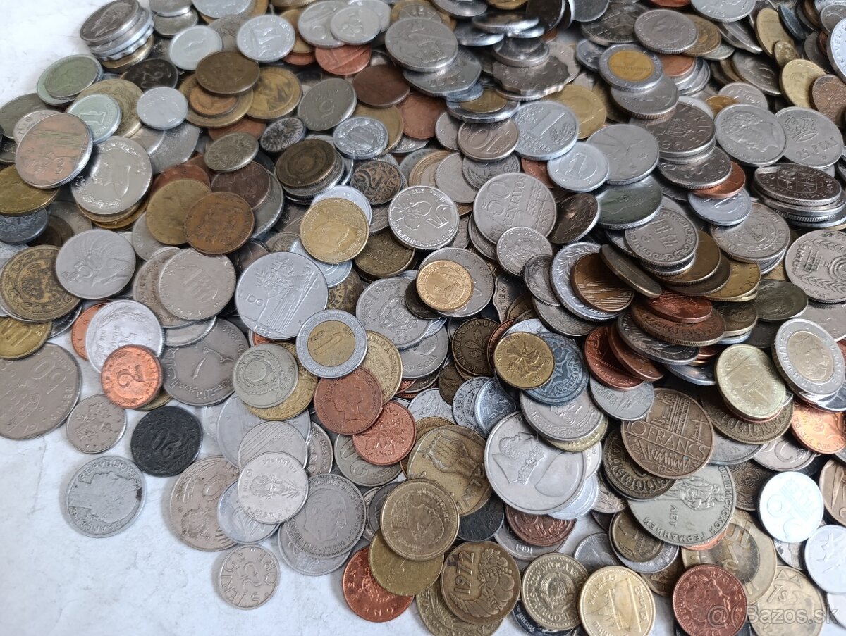 Mince 3.5kg lot2 - 3