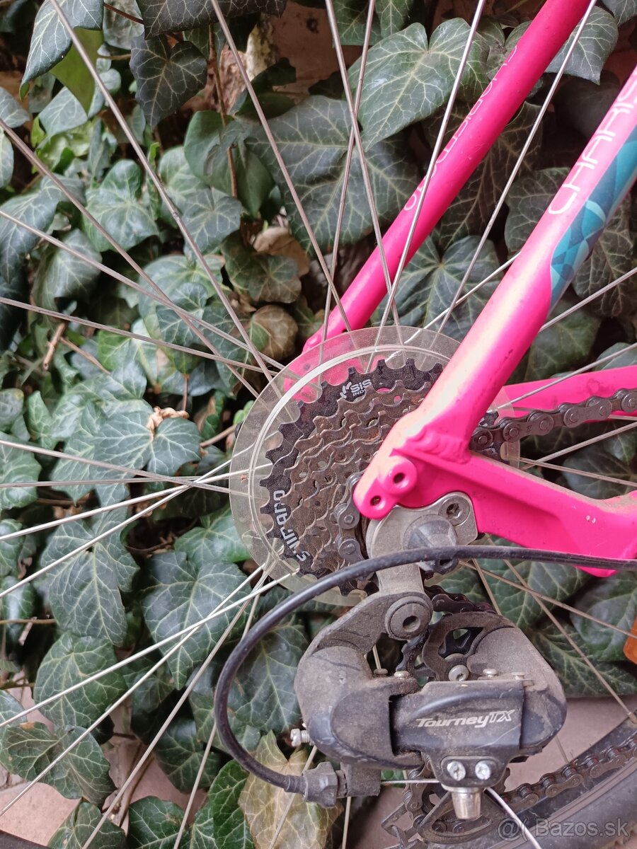 Predám horský bicykel CTM - 3