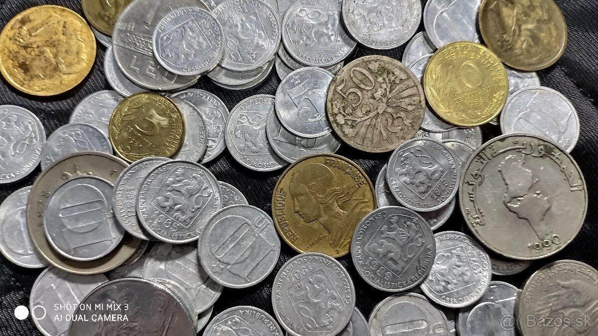 Mince1 - 3