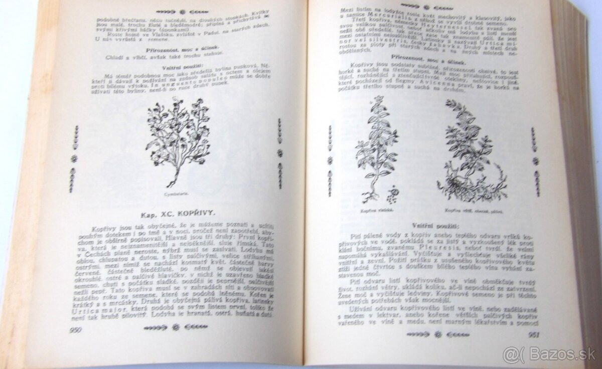 Matthioli - Herbář - sv.3 - 3