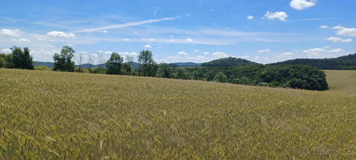 Na predaj orná pôda v obci Podkylava, časť Jancovo.(Myjava) - 3