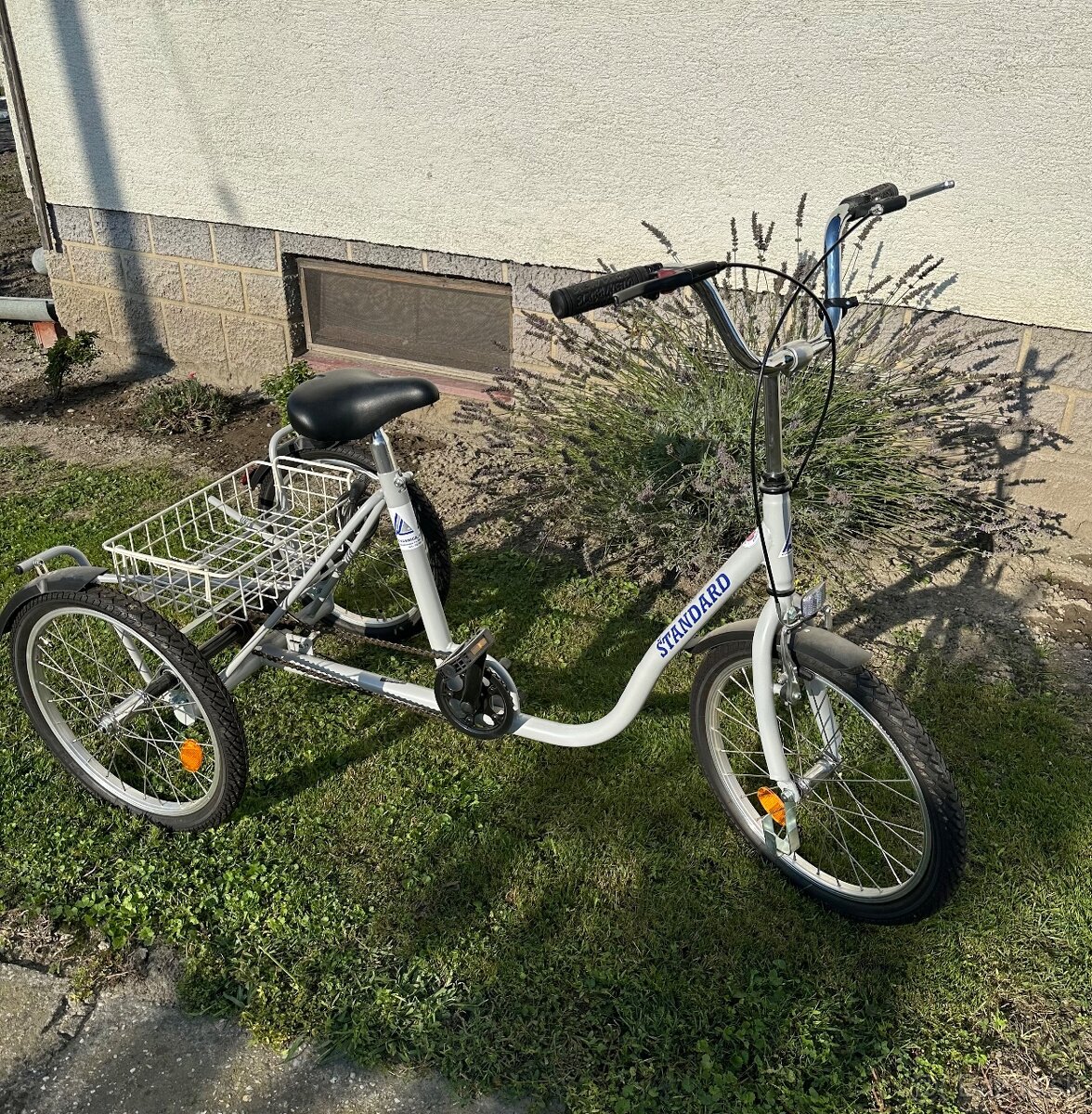 Trojkolka pre dospelých s nákupným košíkom - pre seniorov - 3