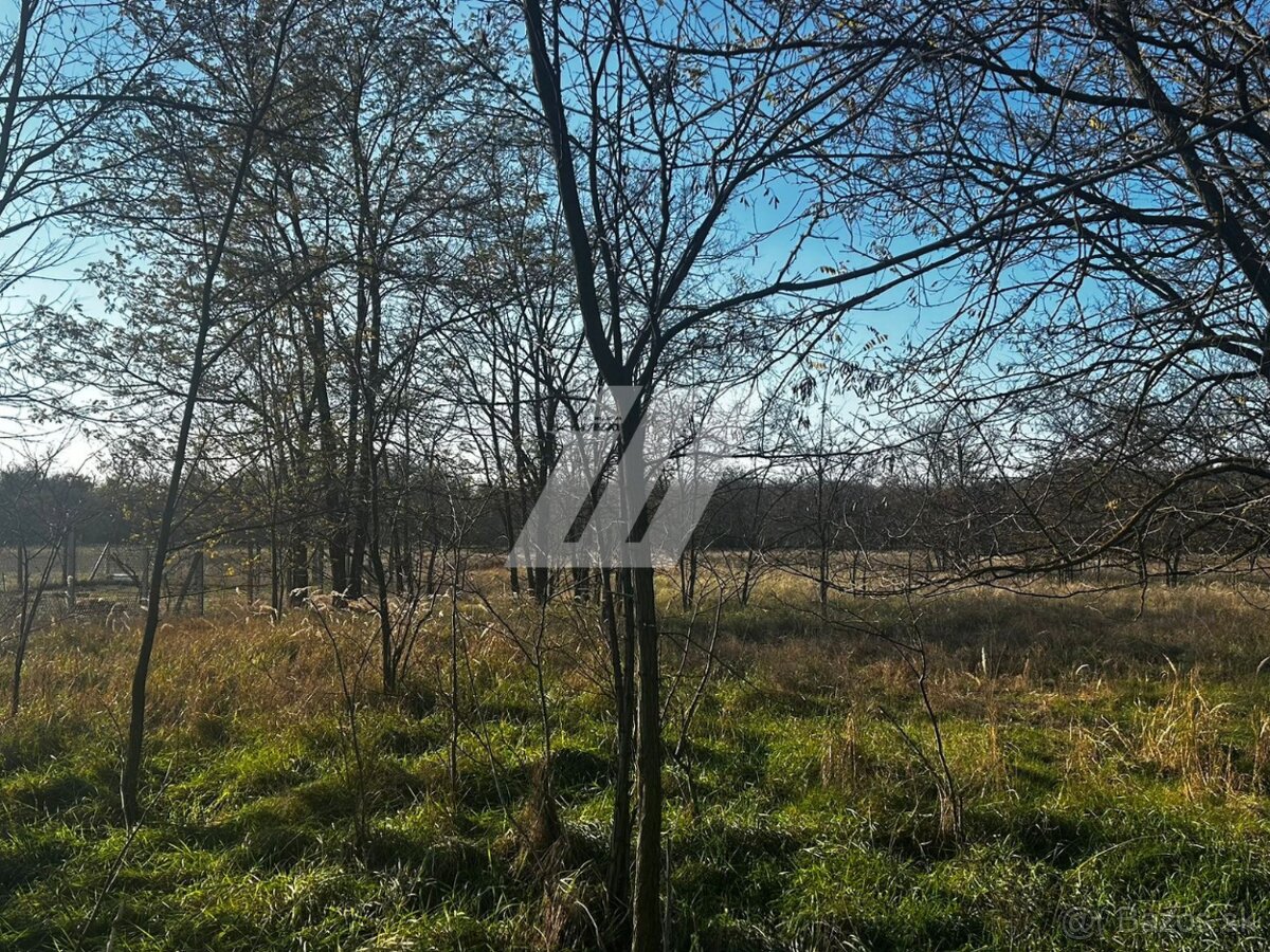 Na predaj: pozemok s vinohradníckym domčekom - 3