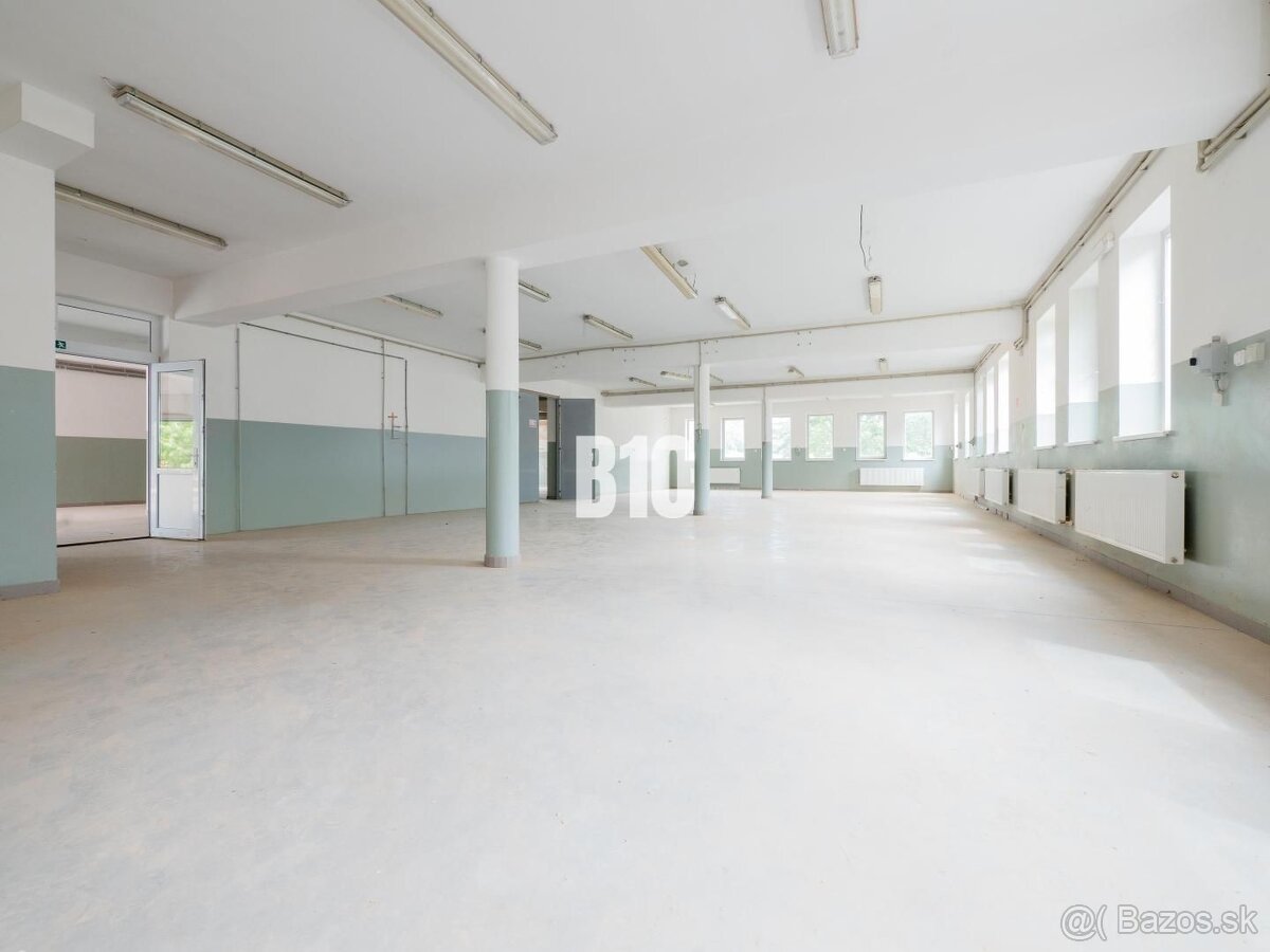 Priemyselné priestory, výrobné haly a dielne v Leviciach - 3