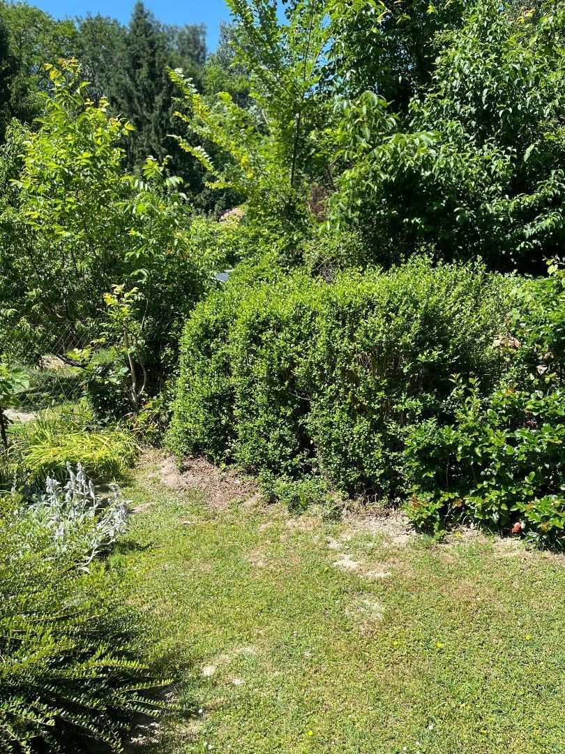 NOVÁ CENA Predaj zariadenej chaty pri Malom Dunaji – Čiern - 3